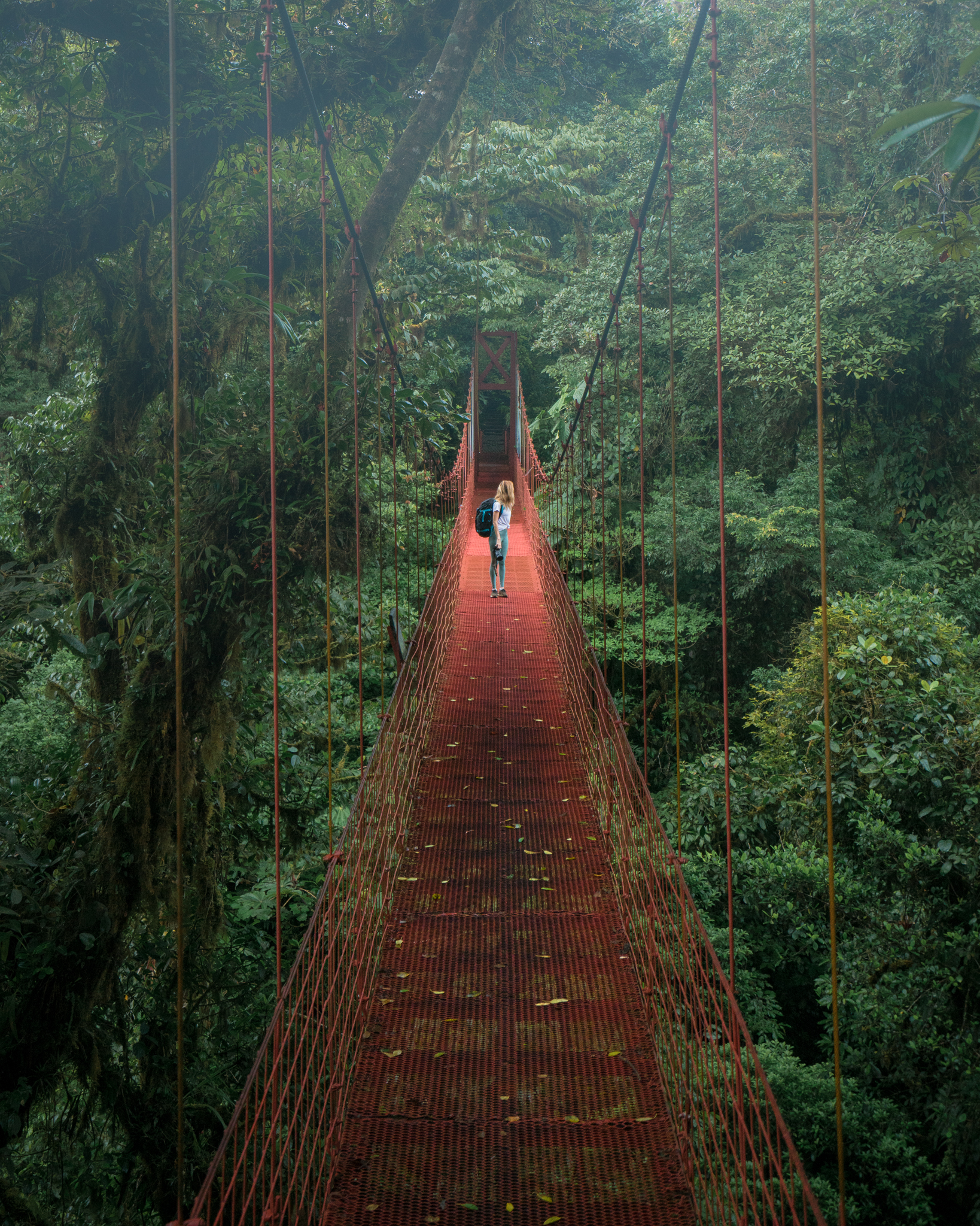 Picturesque suspension bridge in Monteverde Cloud Forest Biological Reserve, Costa Rica.