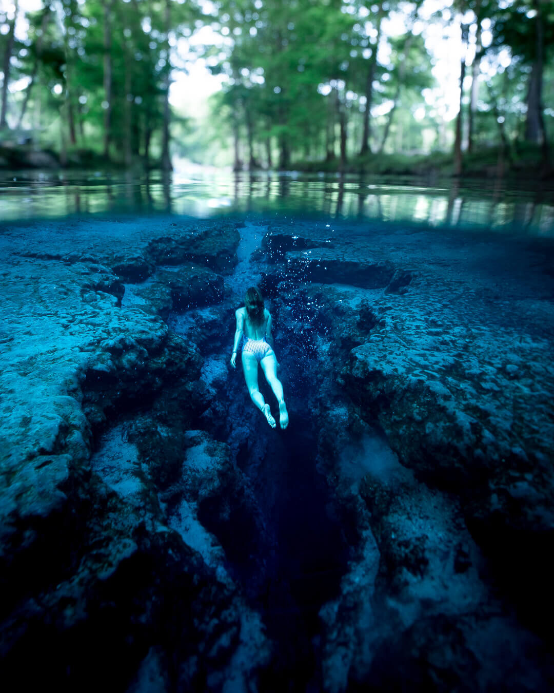 Free diving in Ginnie Springs.