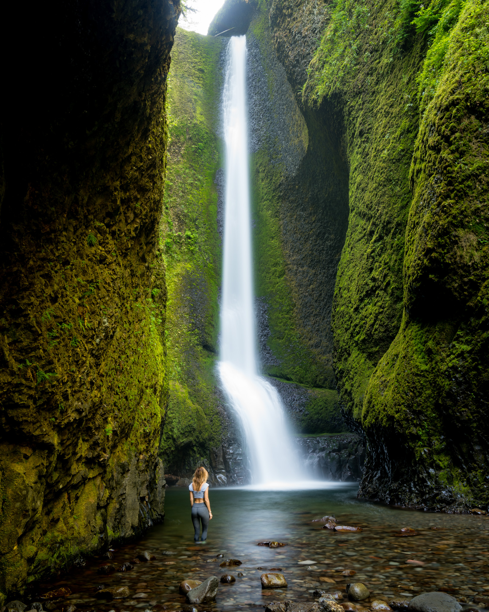 Photo taken at Oneonta Gorge      (currently closed due to fire damage so please check for reopening before going).