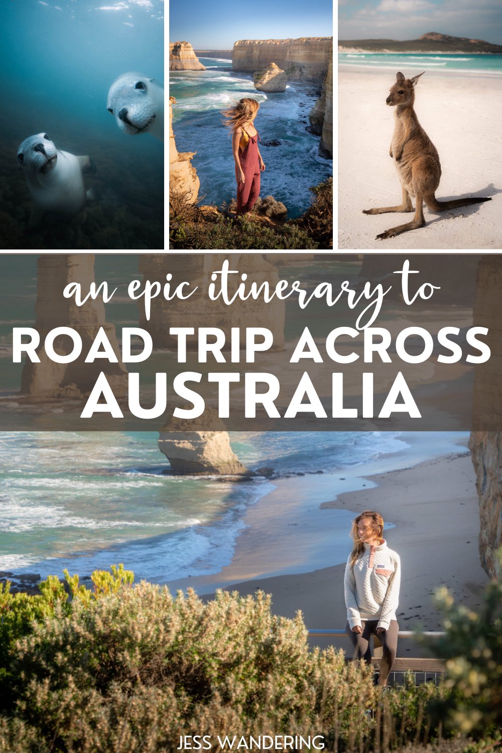 epic itinerary to road trip across australia pin with images of jess wandering in australia, australian sea lions, and a baby kangaroo