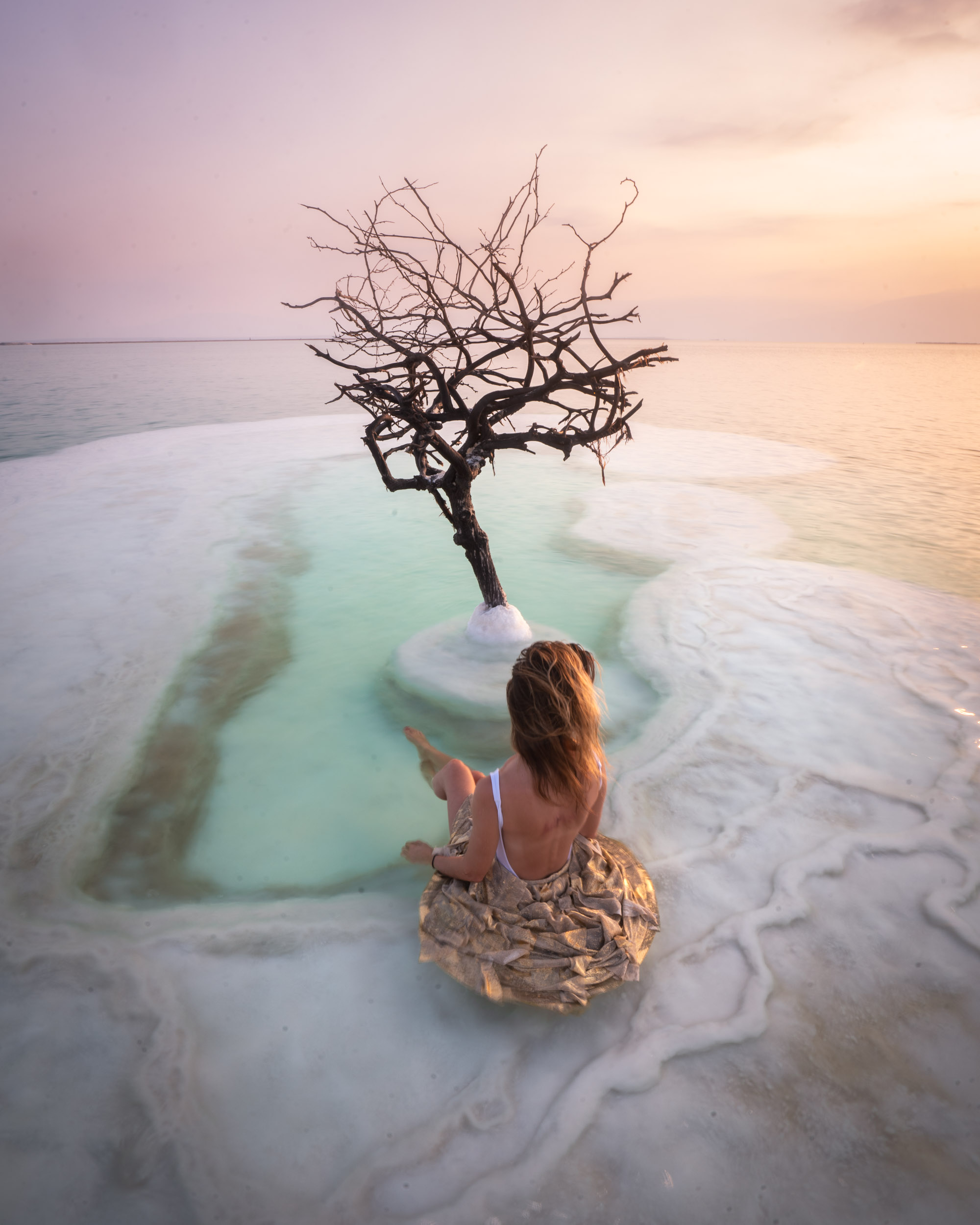 The Dead Sea Tree, Israel