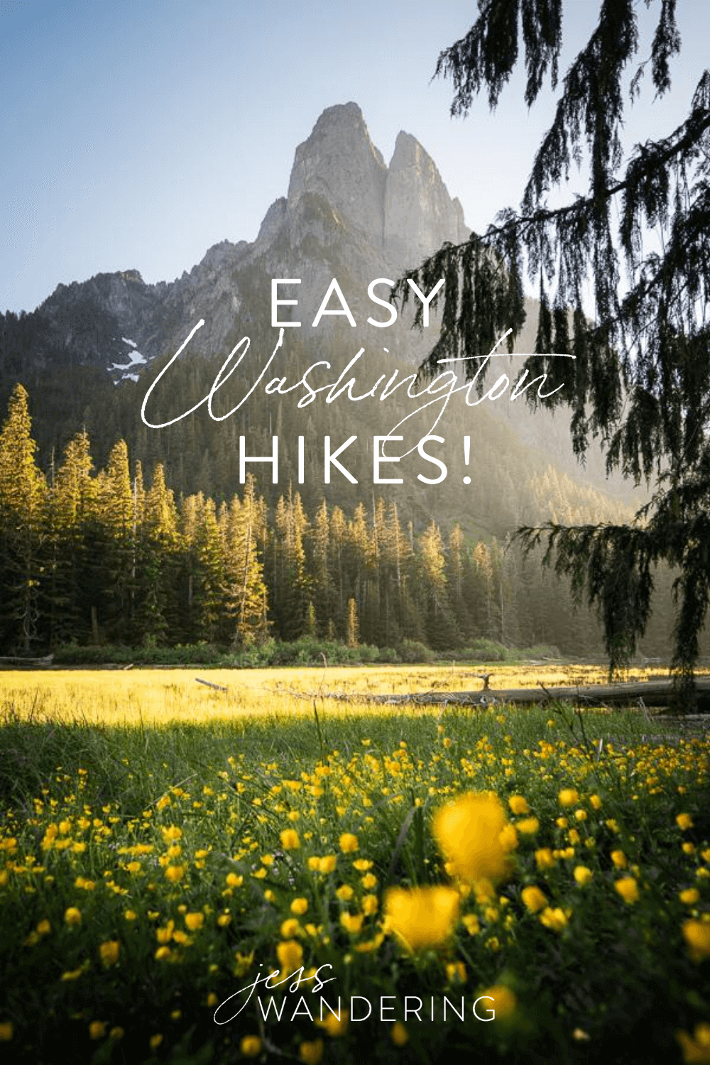 The best easy hikes in Washington.