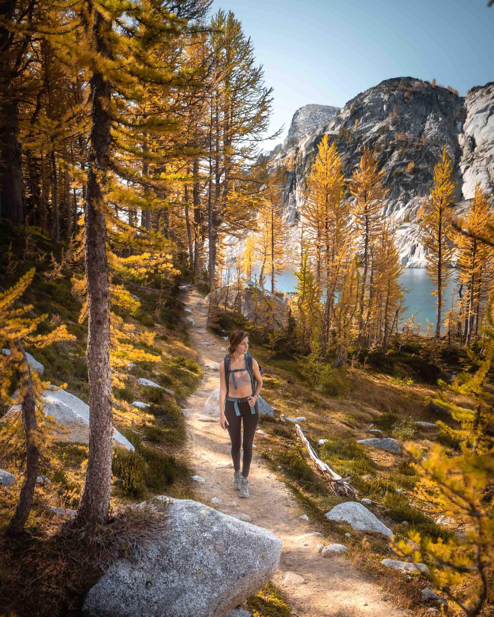 In Mid-October the trail through the Core Enchantment Zone is lined with golden Larches.