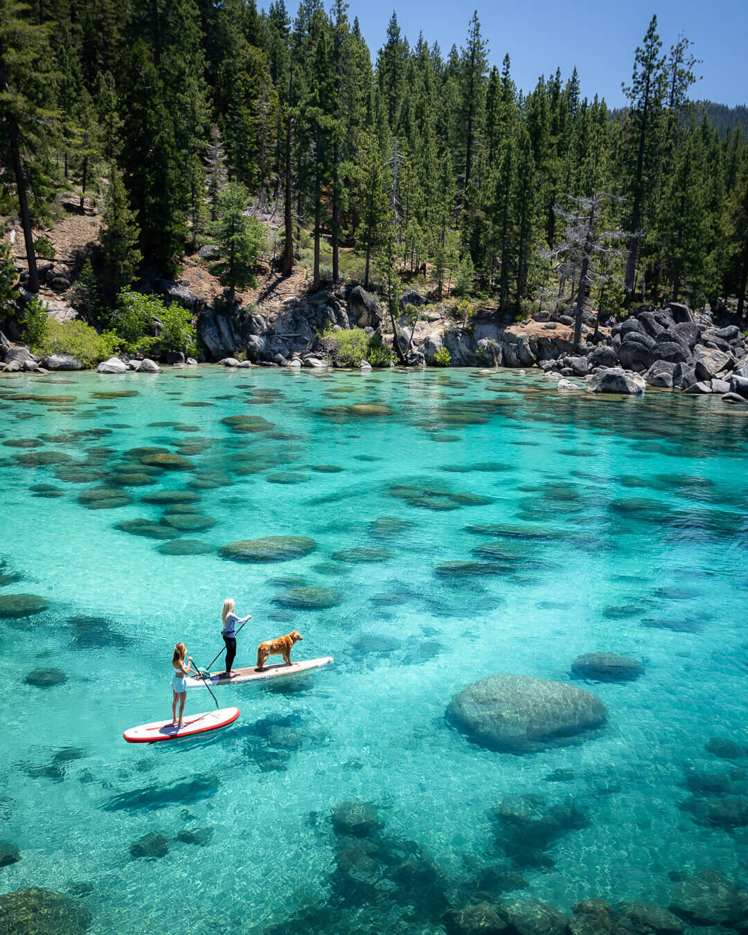 Stand-up Paddleboard