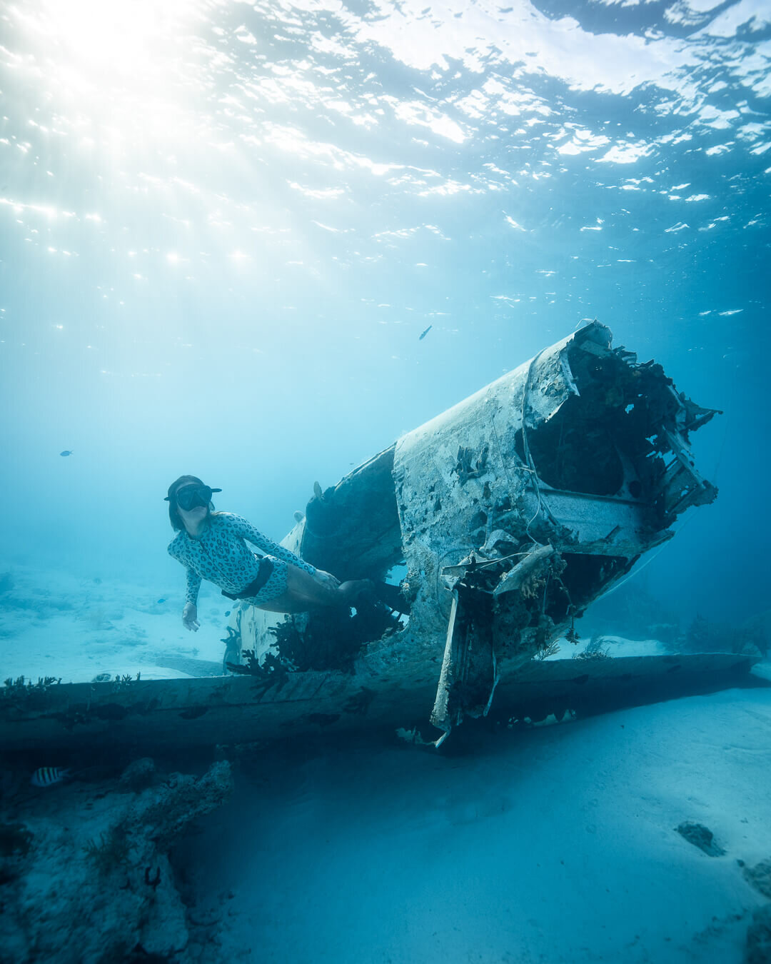 Swimming through the plane wreck near “The Aquarium.” Photos by  Quin Schrock .