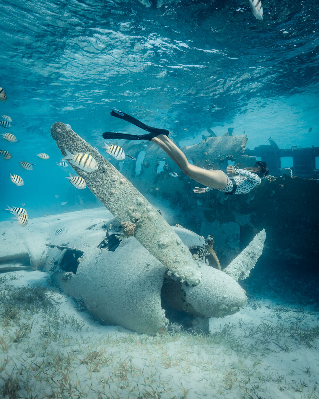 Below the waters surface at the Norman’s Cay plane crash. Photo by  Quin Schrock .