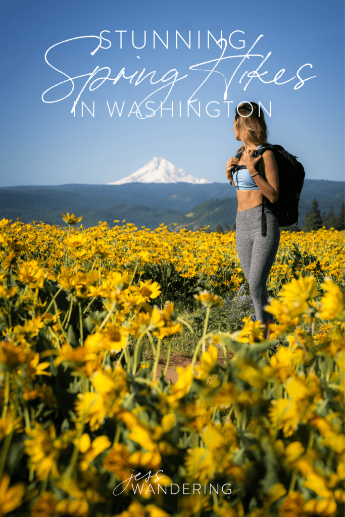 Pinnable image of Jess in a wildflower meadow looking out at a snow covered Mount Hood.