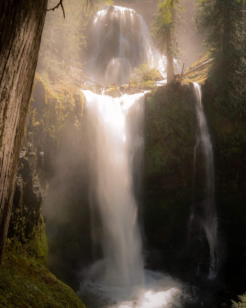 A hazy waterfall catching golden light as it falls into a dark canyon. Either side is surrounded by forest trees