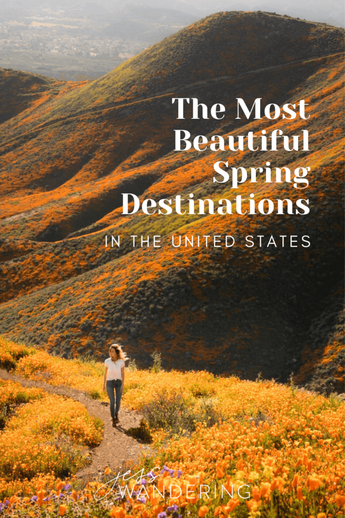 A pinnable image of Jess walking on a trail through a field of orange wildflowers. Text reads "the most beautiful spring destinations in the United States"