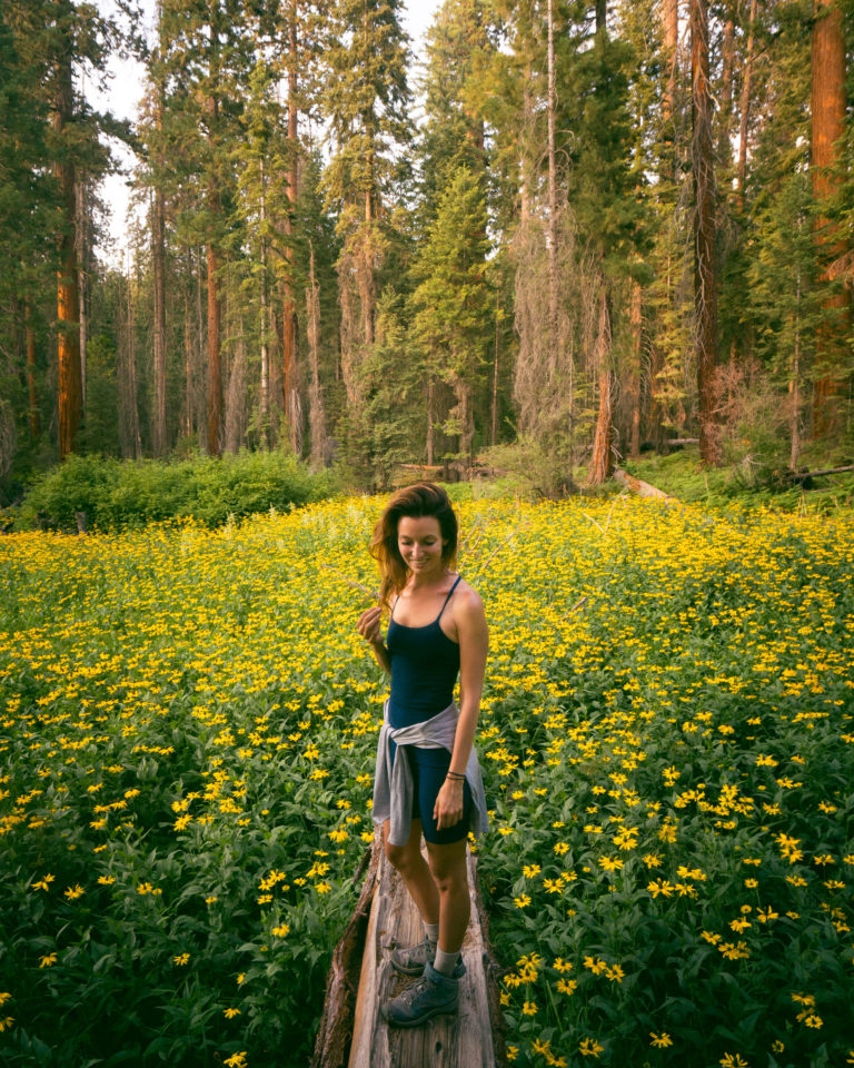 Complete Guide to Backpacking The Mineral King Loop Jess Wandering