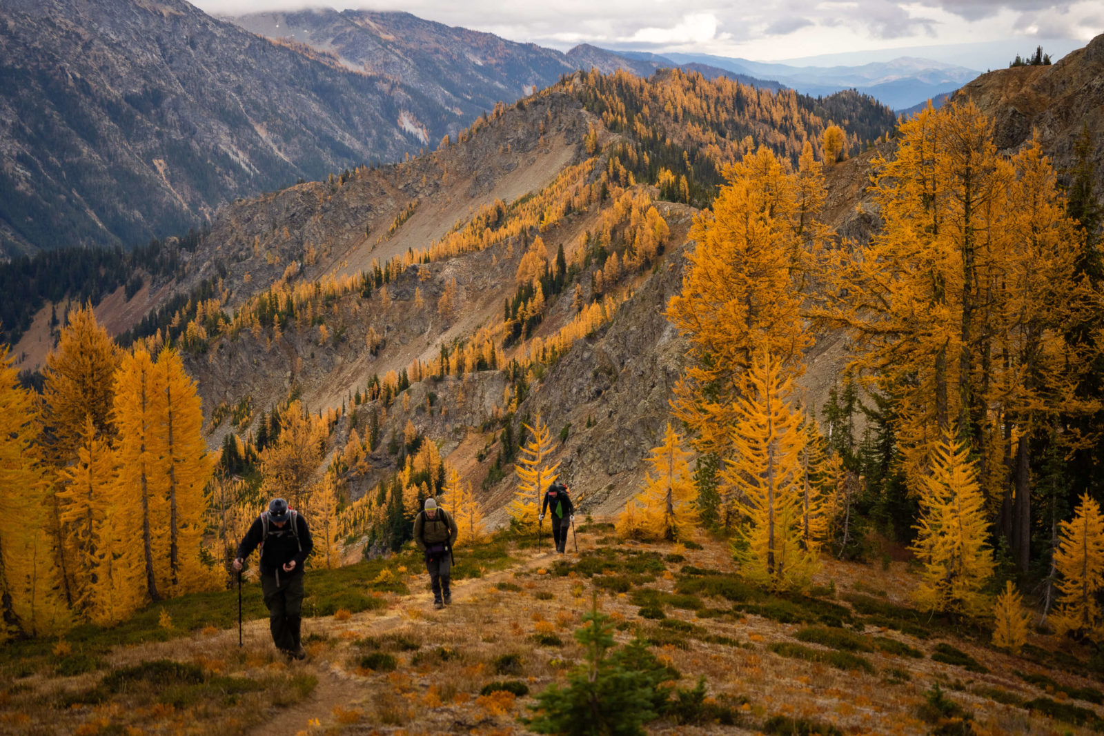 The Best Golden Larch Hiking Trails In Washington State - Jess Wandering