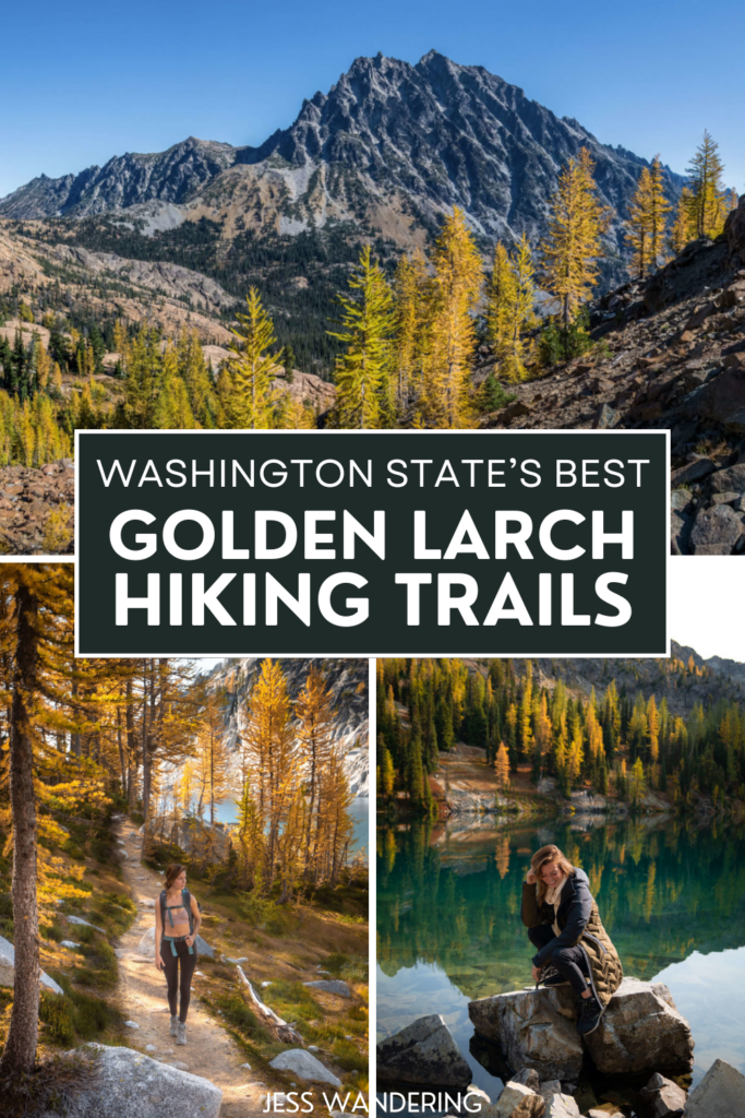 best golden larch hikes in washington