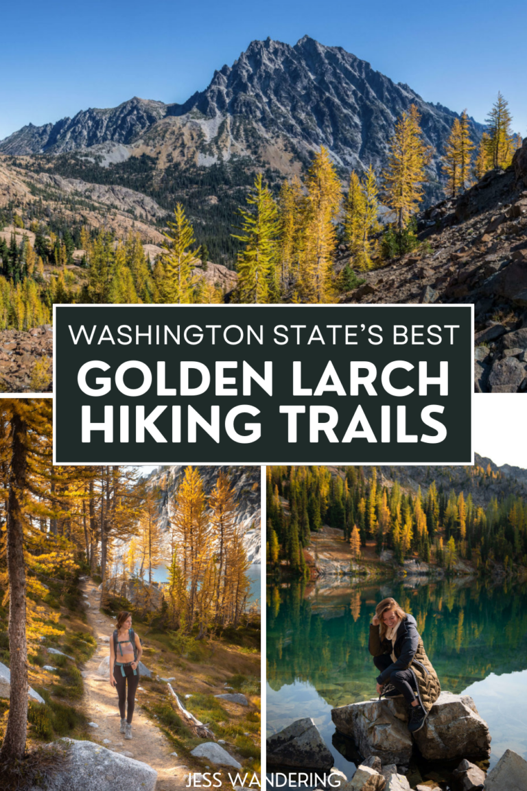 The Best Golden Larch Hiking Trails In Washington State - Jess Wandering